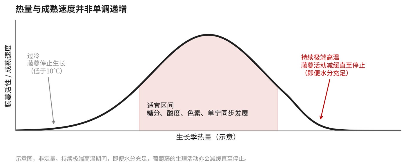 热量与成熟速度并非单调递增