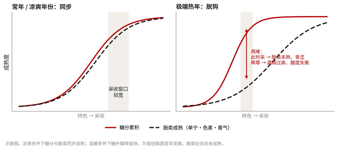 常年／凉爽年份：同步 ｜ 极端热年：脱钩